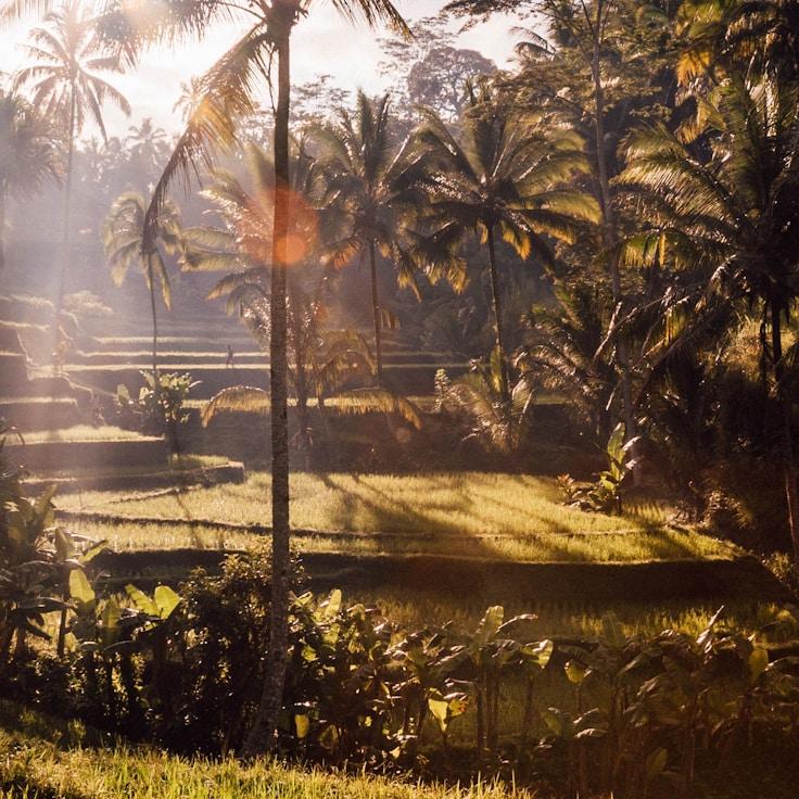 Family terraces and cafés for calm evenings in Amsterdam